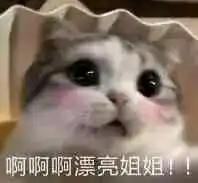 aplikasi cek slot ram Pei Jiuzhen memasang ekspresi sedih dan menatap Pei Shaoyu